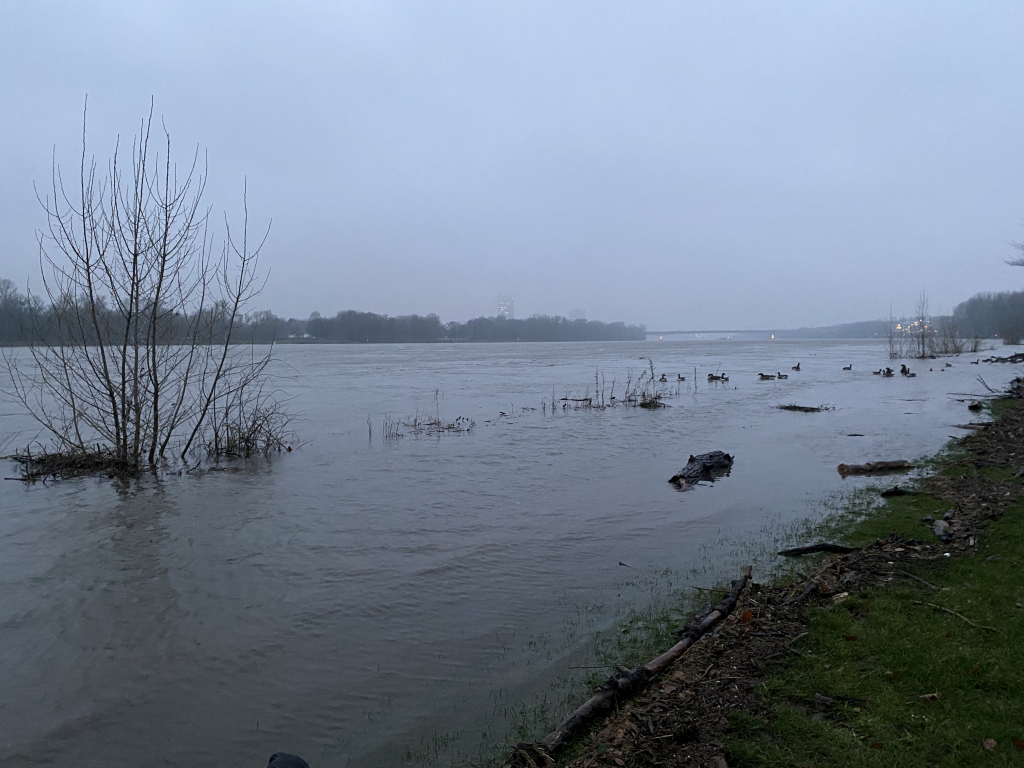 2023-12-14 Rhein 0034 k.JPG